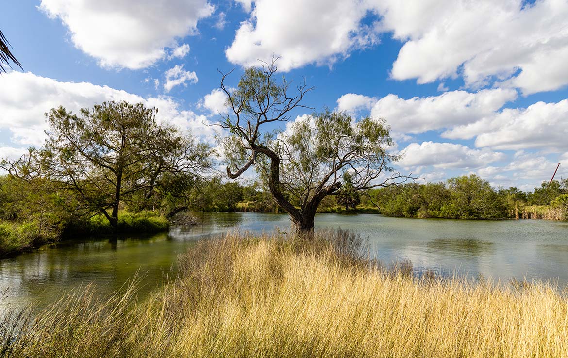 Tijerina Ranch 5,481 Acre Ranch Hidalgo County Image 10