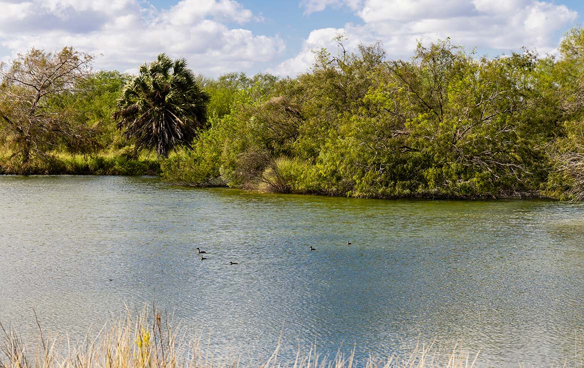 Tijerina Ranch 5,481 Acre Ranch Hidalgo County Image 11