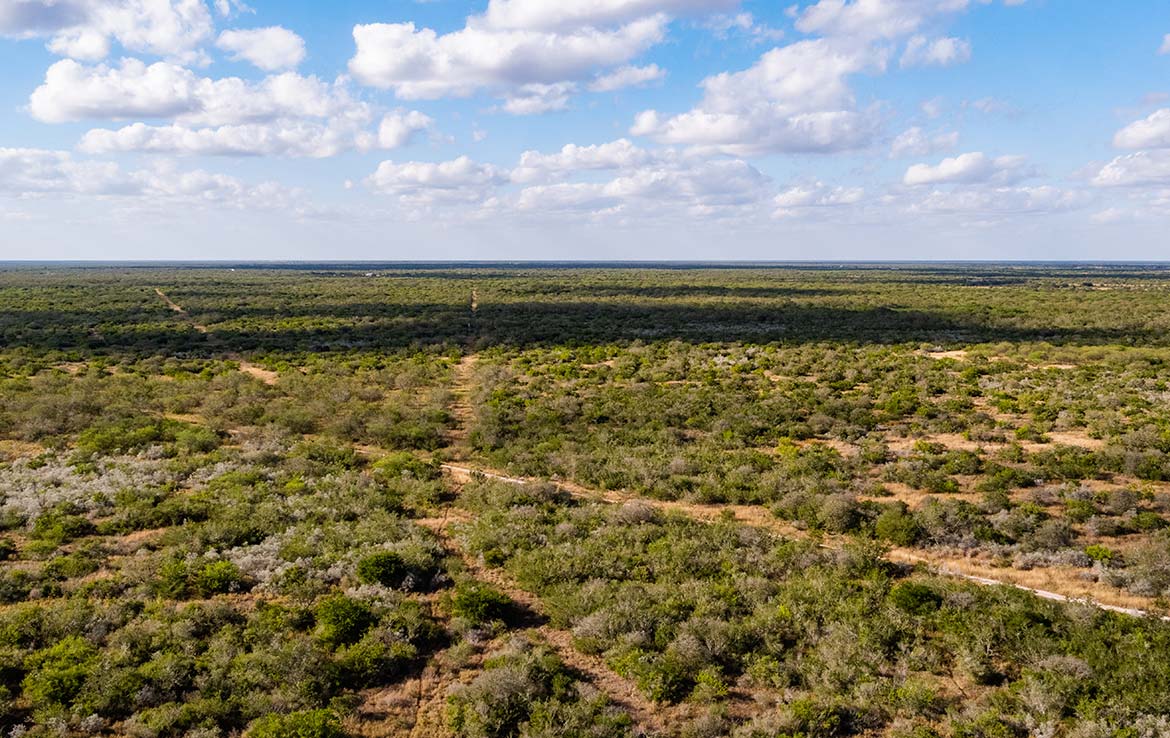 Tijerina Ranch 5,481 Acre Ranch Hidalgo County Image 22