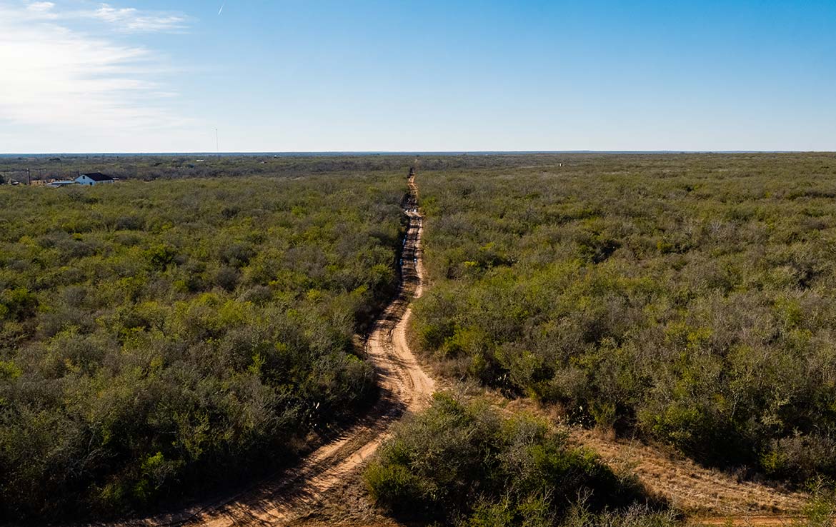 Owl Ranch 175 Acre Ranch Jim Wells County Image 1