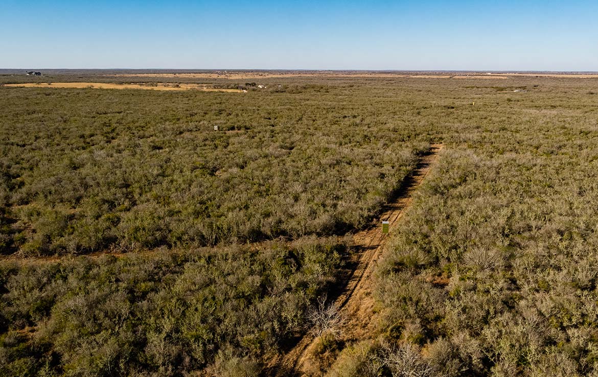 Owl Ranch 175 Acre Ranch Jim Wells County Image 13