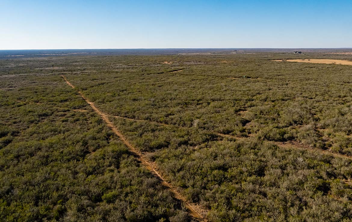 Owl Ranch 175 Acre Ranch Jim Wells County Image 14