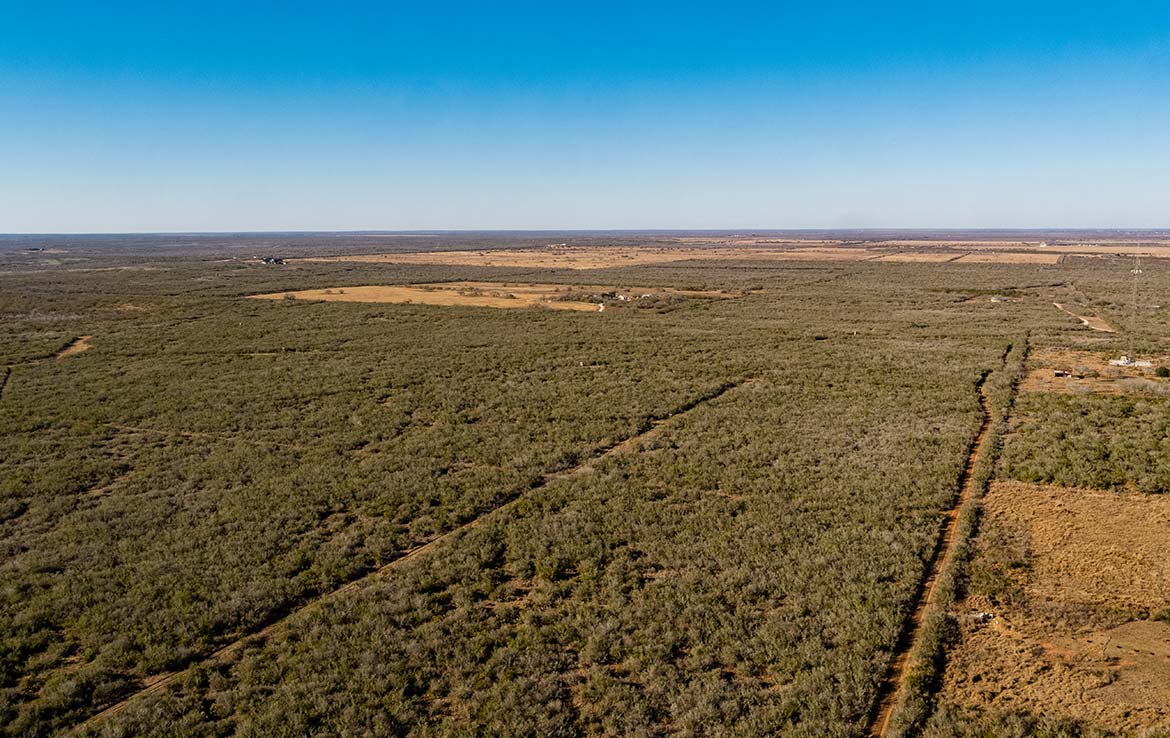 Owl Ranch 175 Acre Ranch Jim Wells County Image 15