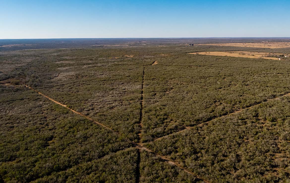 Owl Ranch 175 Acre Ranch Jim Wells County Image 16