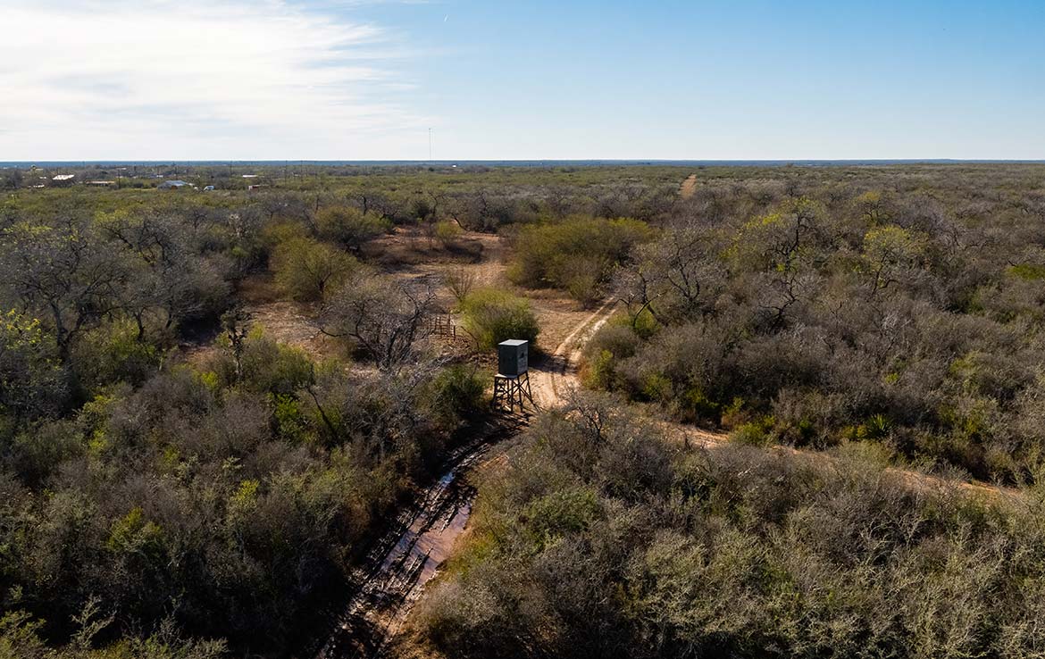 Owl Ranch 175 Acre Ranch Jim Wells County Image 2