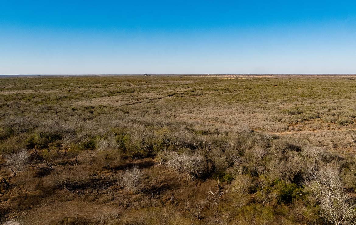 Owl Ranch 175 Acre Ranch Jim Wells County Image 3