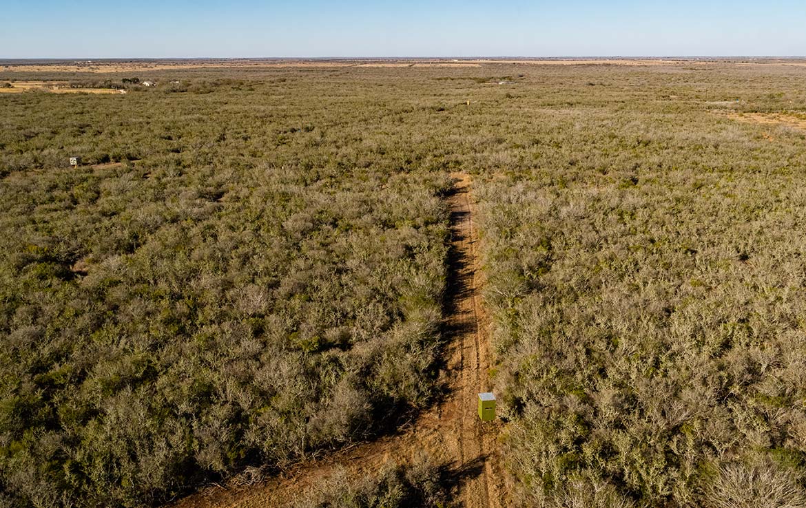 Owl Ranch 175 Acre Ranch Jim Wells County Image 4