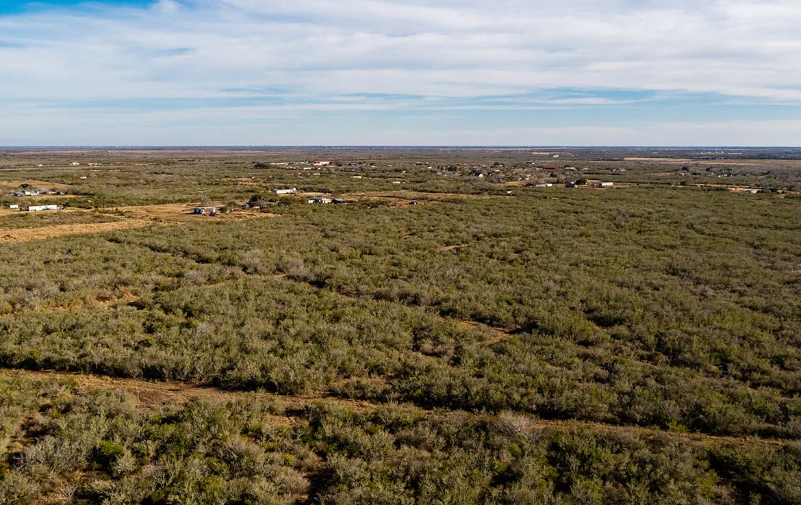 Owl Ranch 175 Acre Ranch Jim Wells County Image 5