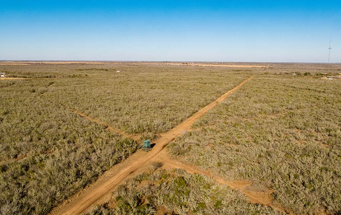 Owl Ranch 175 Acre Ranch Jim Wells County Image 6