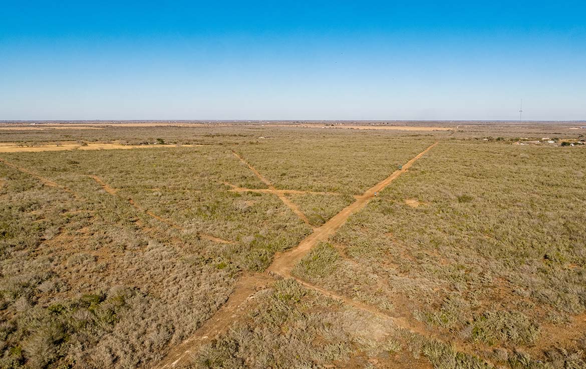 Owl Ranch 175 Acre Ranch Jim Wells County Image 8
