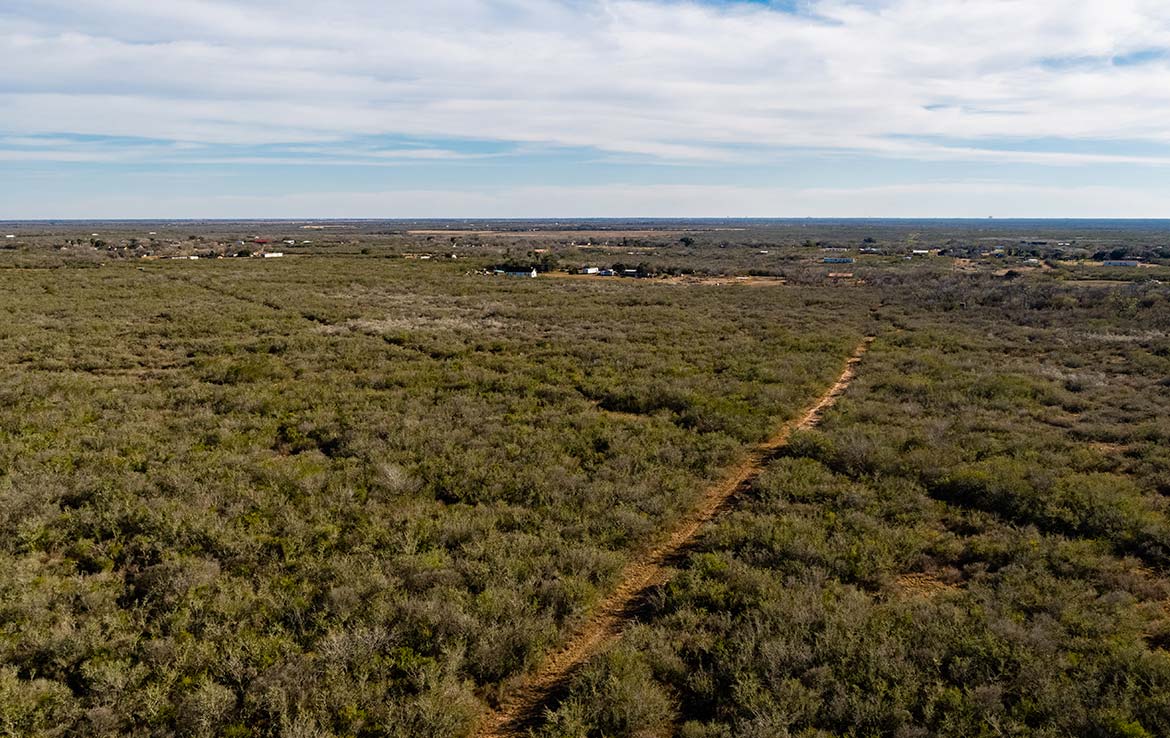 Owl Ranch 175 Acre Ranch Jim Wells County Image 9