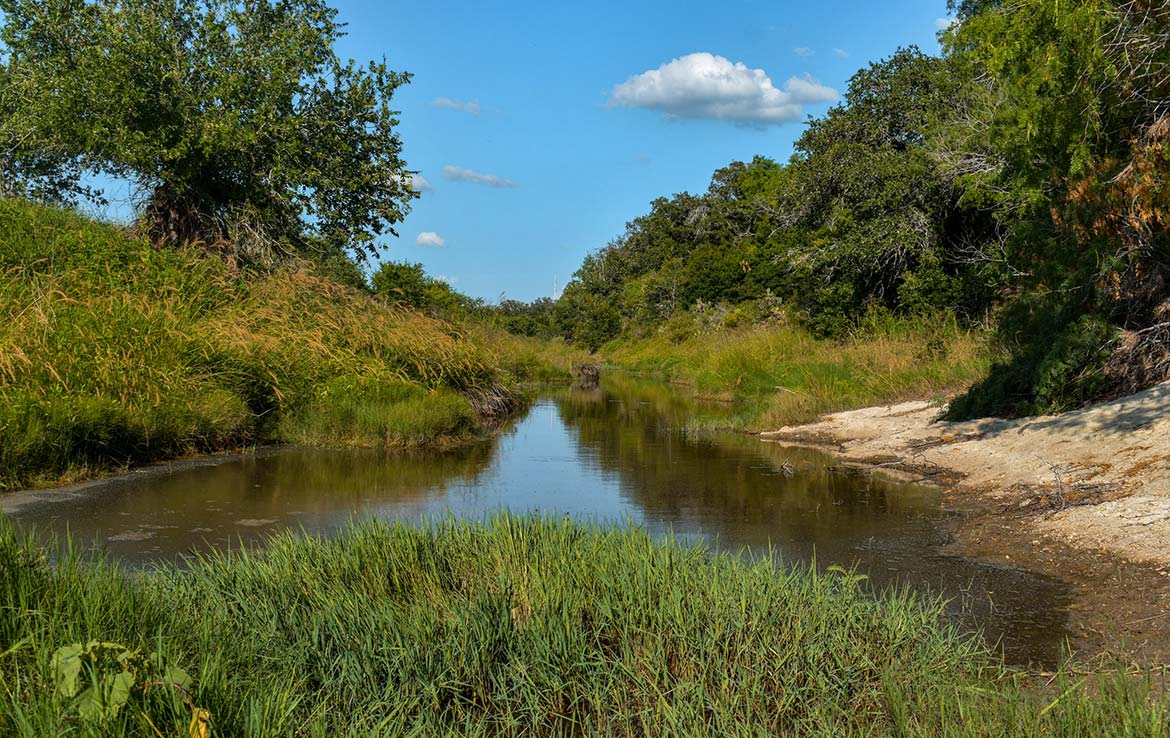 Ecleto Creek Ranch 246 Acre Ranch Karnes County Image 1
