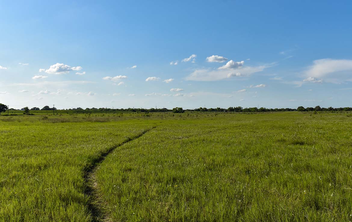 Ecleto Creek Ranch 246 Acre Ranch Karnes County Image 12