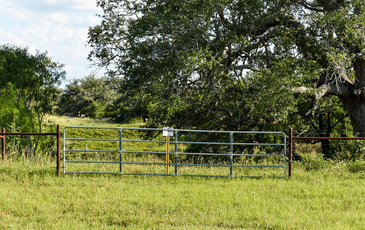 Ecleto Creek Ranch 246 Acre Ranch Karnes County Image 14