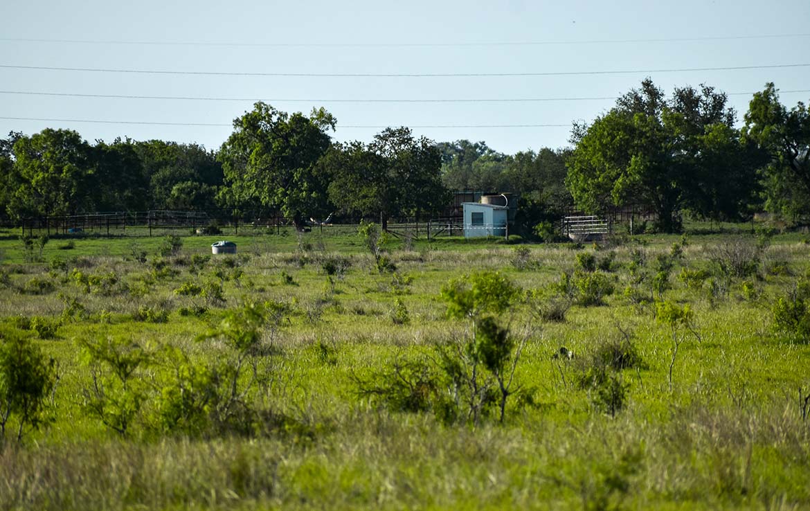 Ecleto Creek Ranch 246 Acre Ranch Karnes County Image 15
