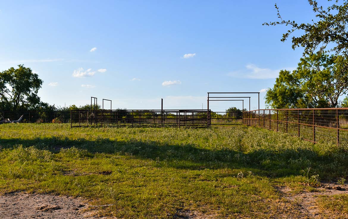 Ecleto Creek Ranch 246 Acre Ranch Karnes County Image 16