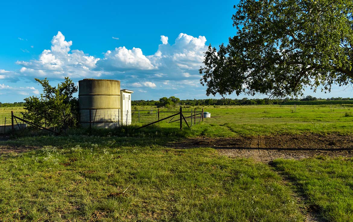 Ecleto Creek Ranch 246 Acre Ranch Karnes County Image 17