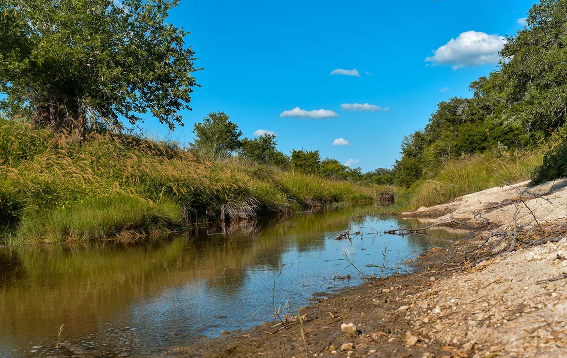 Ecleto Creek Ranch 246 Acre Ranch Karnes County Image 2