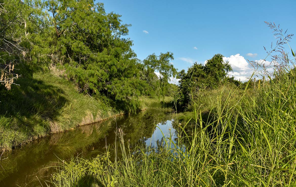 Ecleto Creek Ranch 246 Acre Ranch Karnes County Image 3