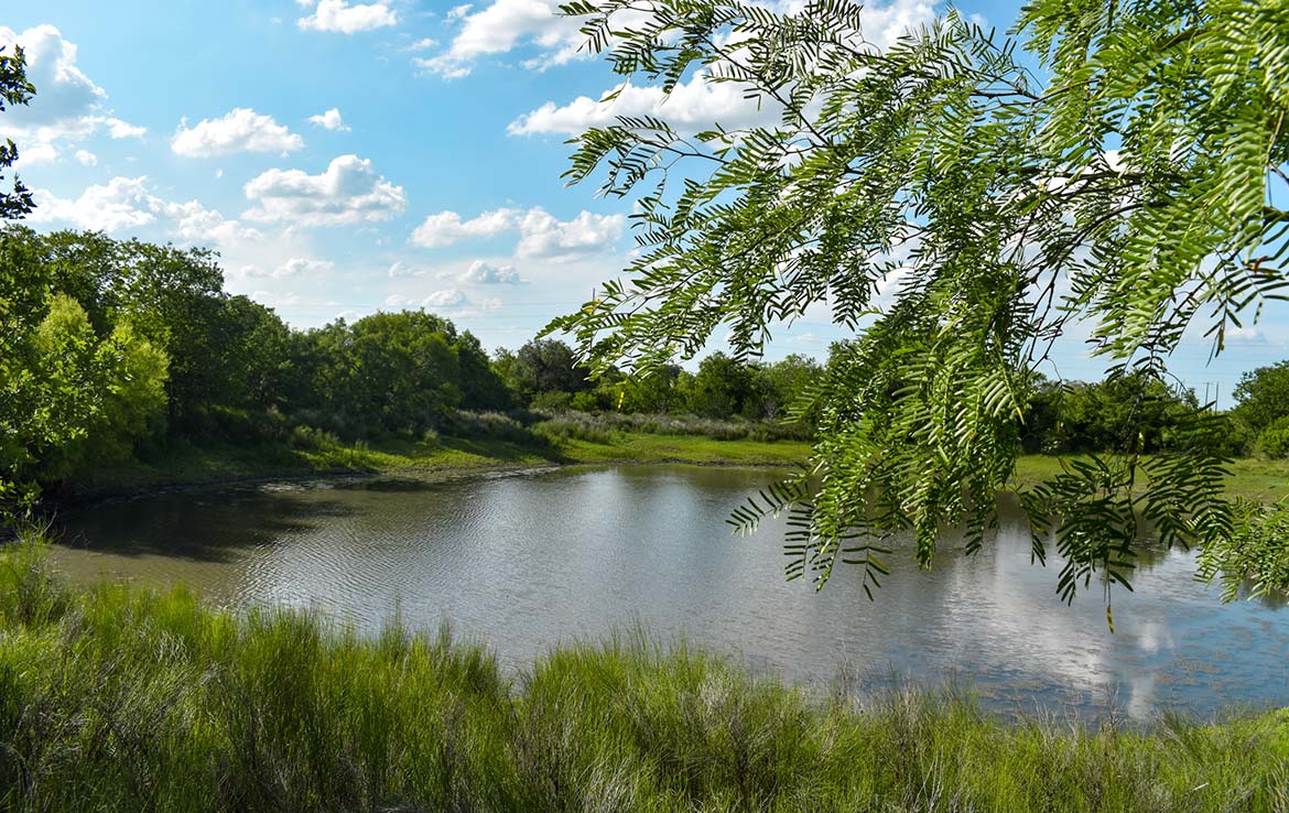 Ecleto Creek Ranch 246 Acre Ranch Karnes County Image 7