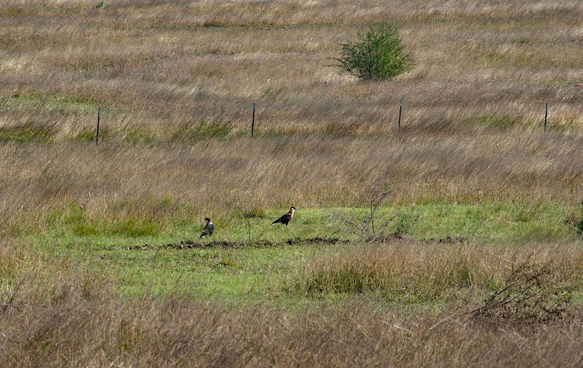 CCC Ranch 78 Acre Ranch Karness County Image 17