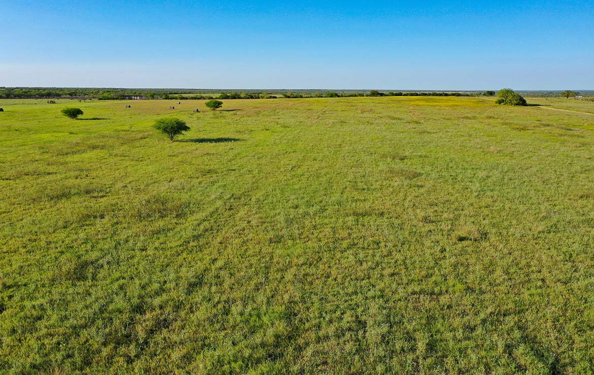 South View 60 Acre Ranch Live Oak County Image 2