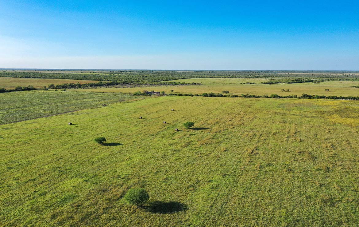 South View 60 Acre Ranch Live Oak County Image 3
