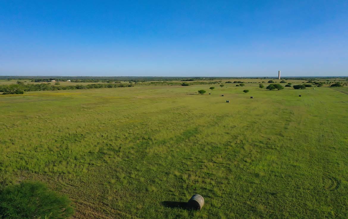 South View 60 Acre Ranch Live Oak County Image 4