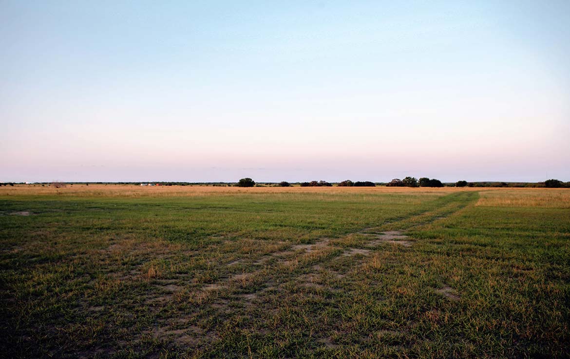 Hill Top Ranch 80 Acre Ranch Live Oak County Image 11