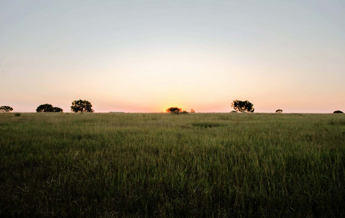 Hill Top Ranch 80 Acre Ranch Live Oak County Image 12