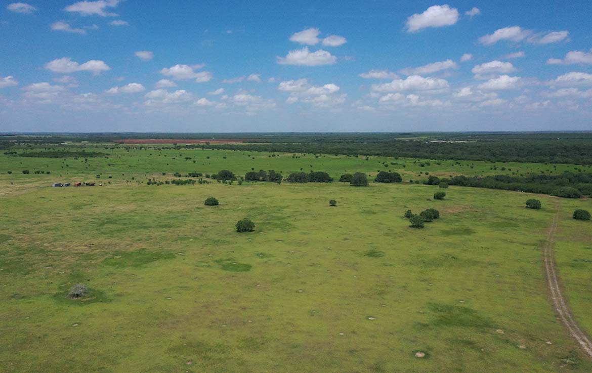 Hill Top Ranch 80 Acre Ranch Live Oak County Image 20