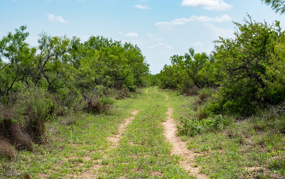 El Milagro Ranch - Texas Ranch Sales, LLC