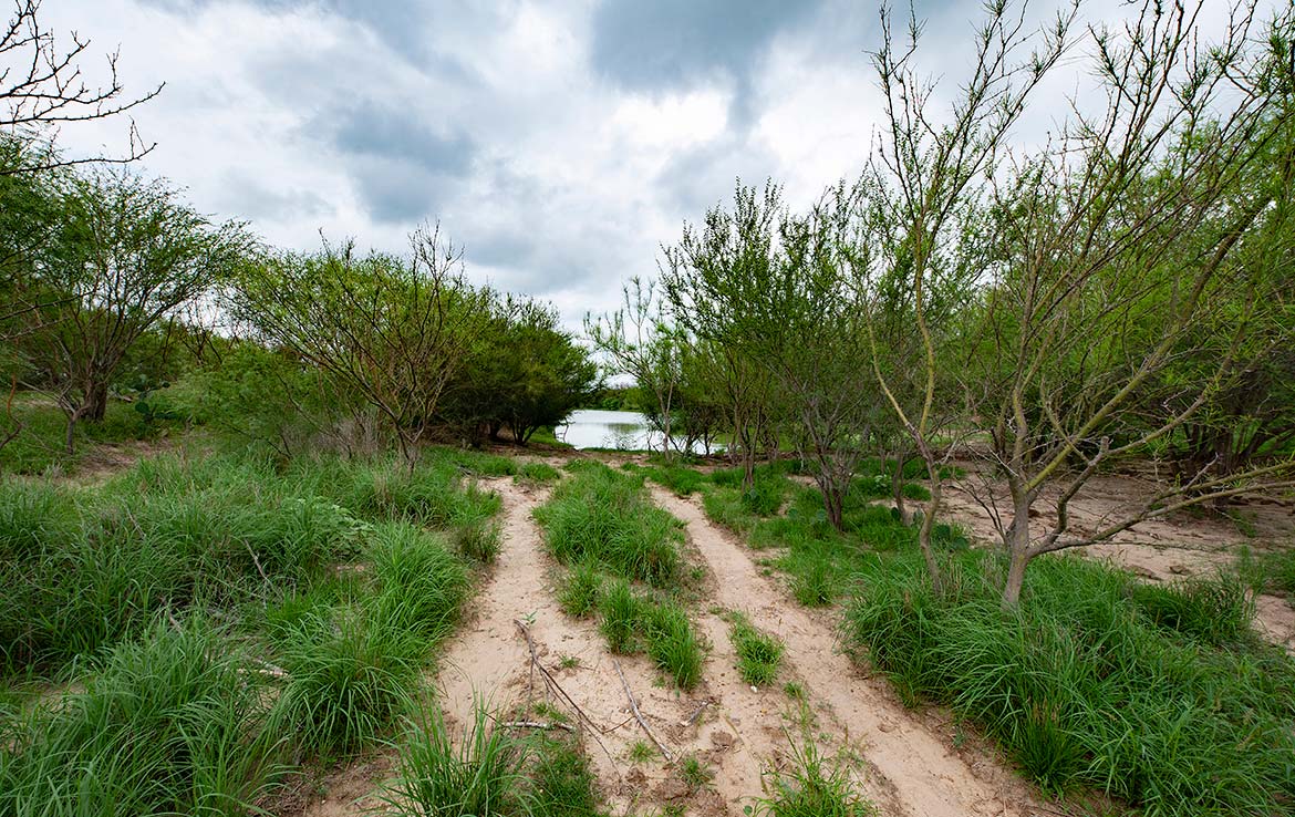 South Shipp Ranch 5000 Acre Ranch Webb County Image 1