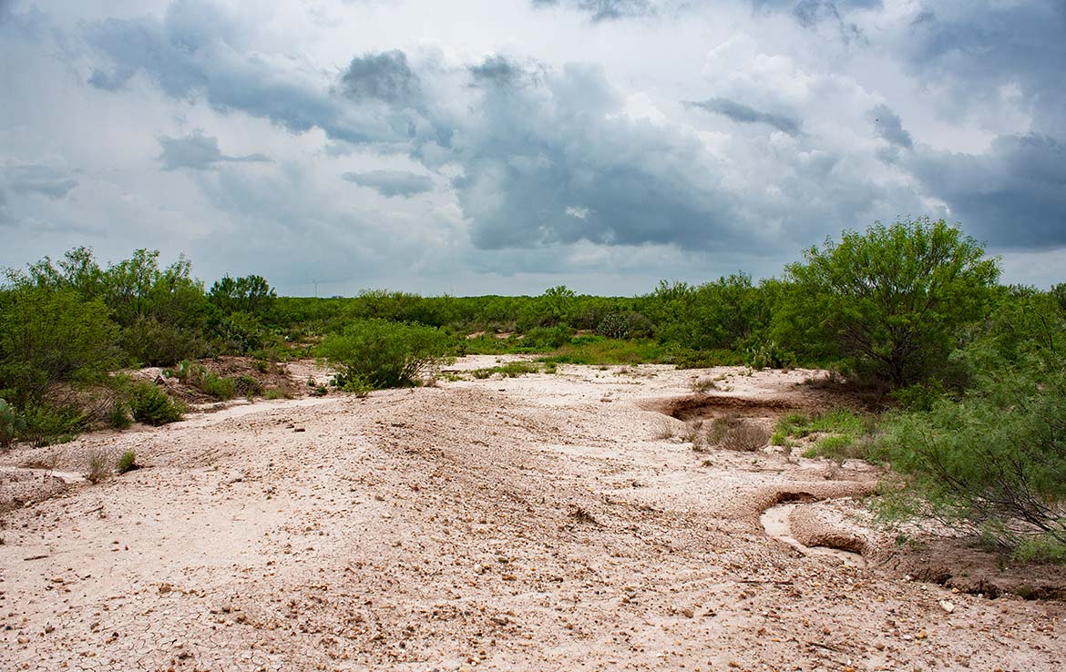 South Shipp Ranch 5000 Acre Ranch Webb County Image 10