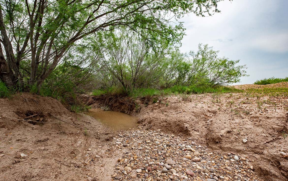 South Shipp Ranch 5000 Acre Ranch Webb County Image 11
