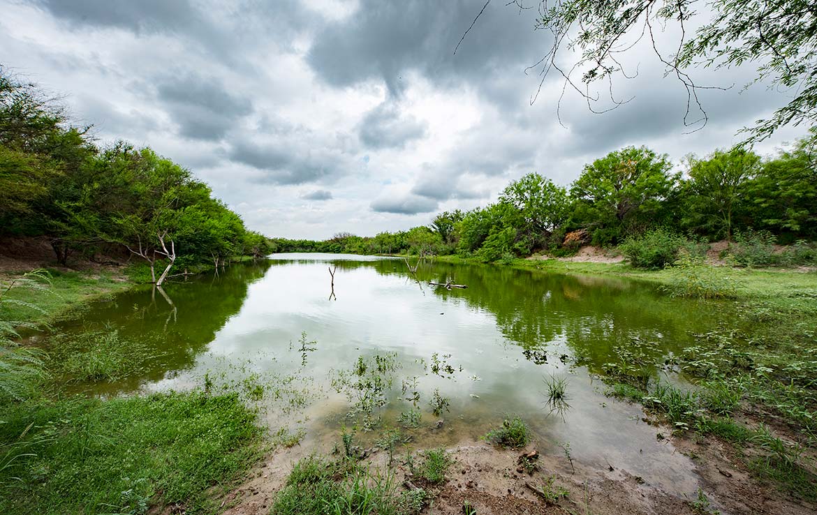 South Shipp Ranch 5000 Acre Ranch Webb County Image 2