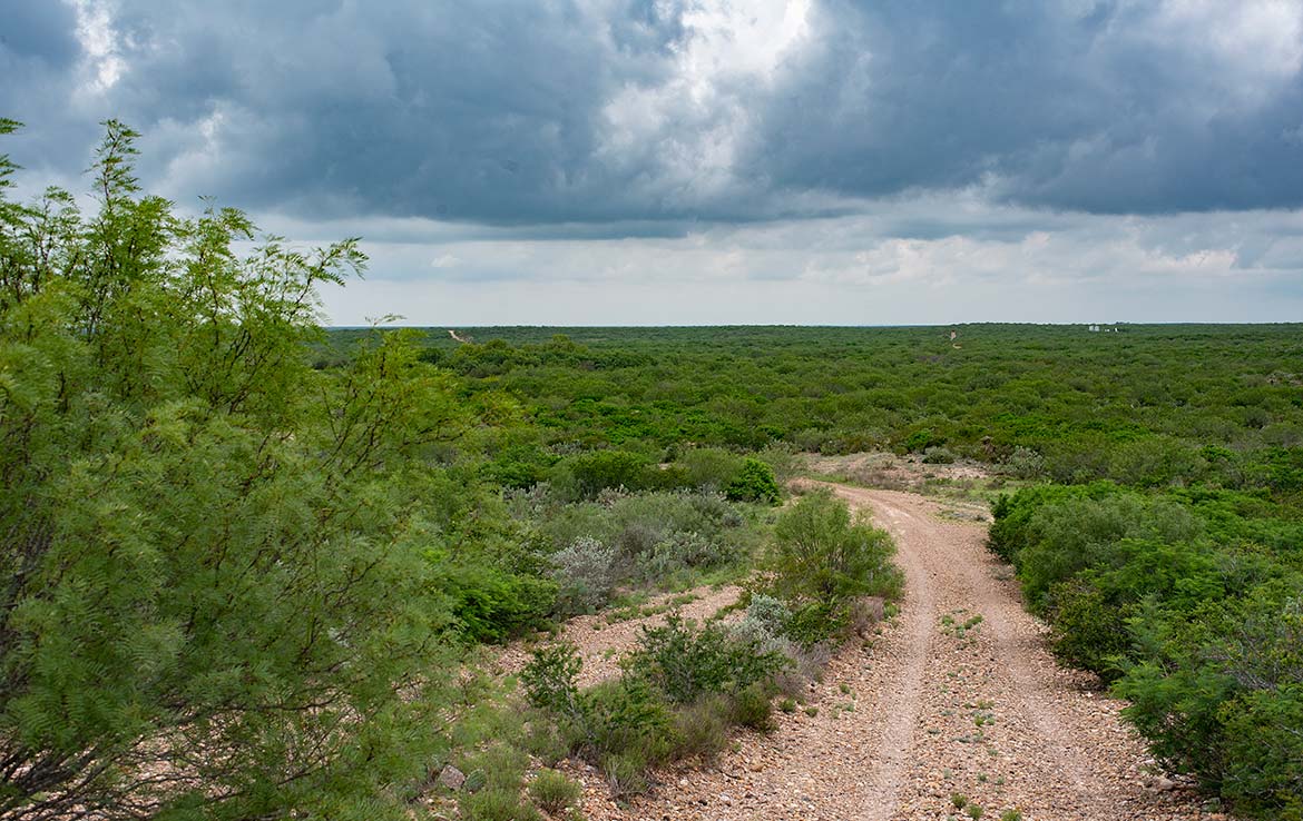 South Shipp Ranch 5000 Acre Ranch Webb County Image 3