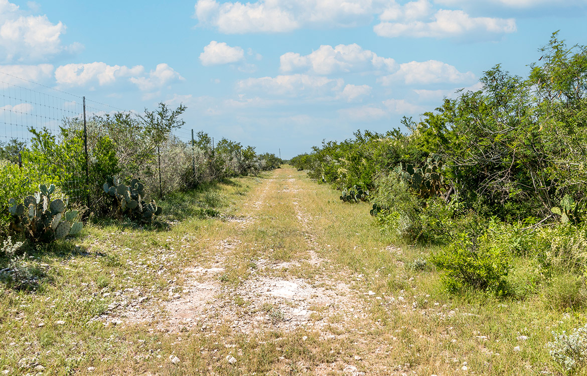540 Ranch 274 Acre Ranch Webb County Image 13