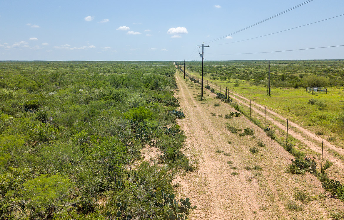 540 Ranch 274 Acre Ranch Webb County Image 14
