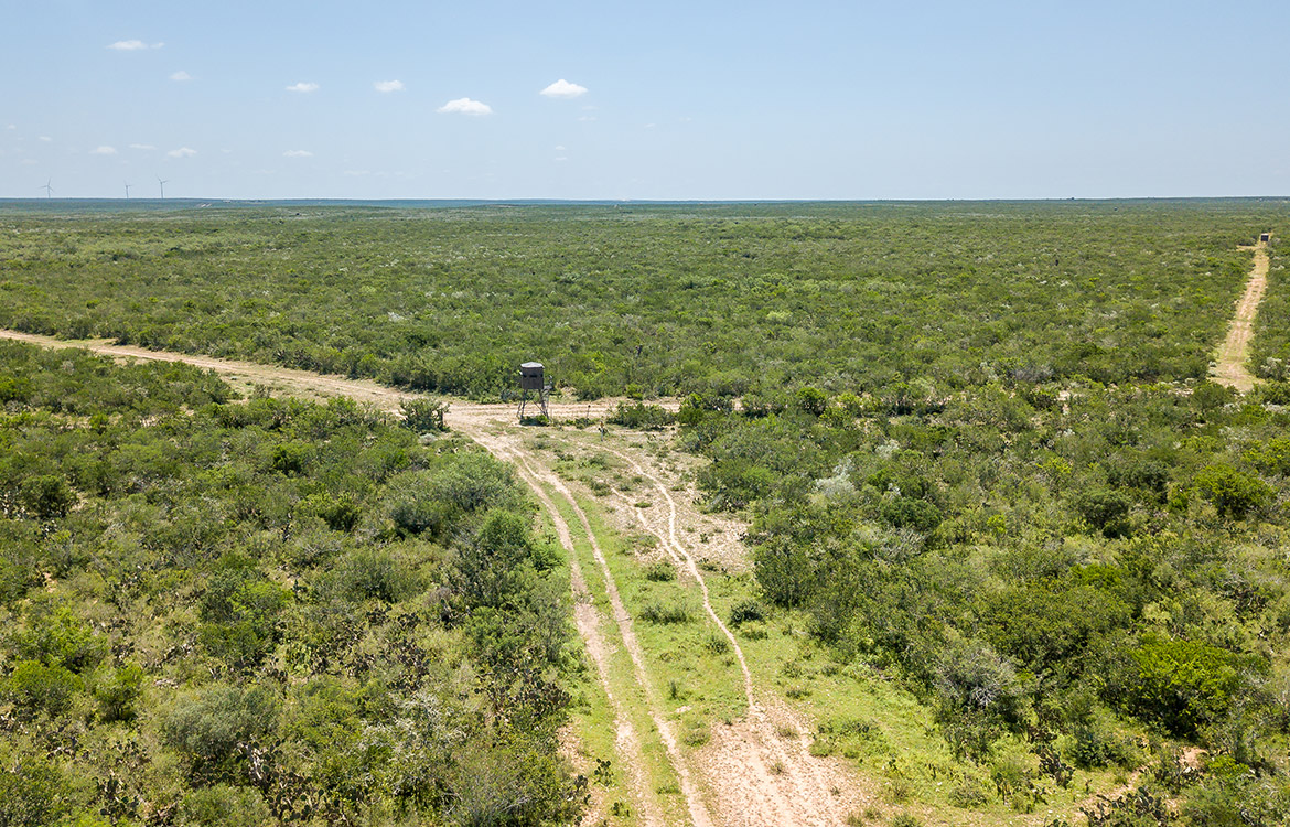 540 Ranch 274 Acre Ranch Webb County Image 16