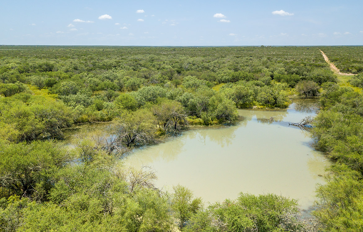 540 Ranch 274 Acre Ranch Webb County Image 17
