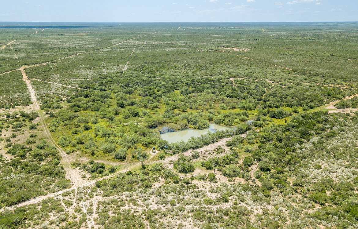 540 Ranch 274 Acre Ranch Webb County Image 19