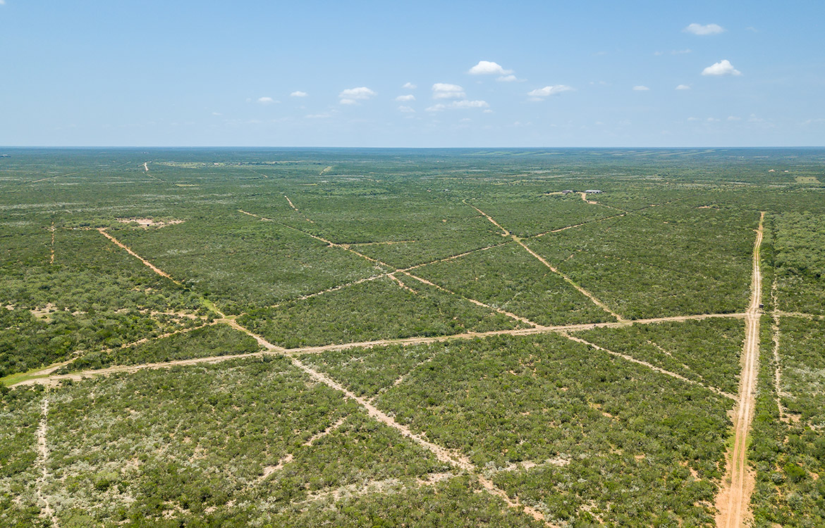 540 Ranch 274 Acre Ranch Webb County Image 20