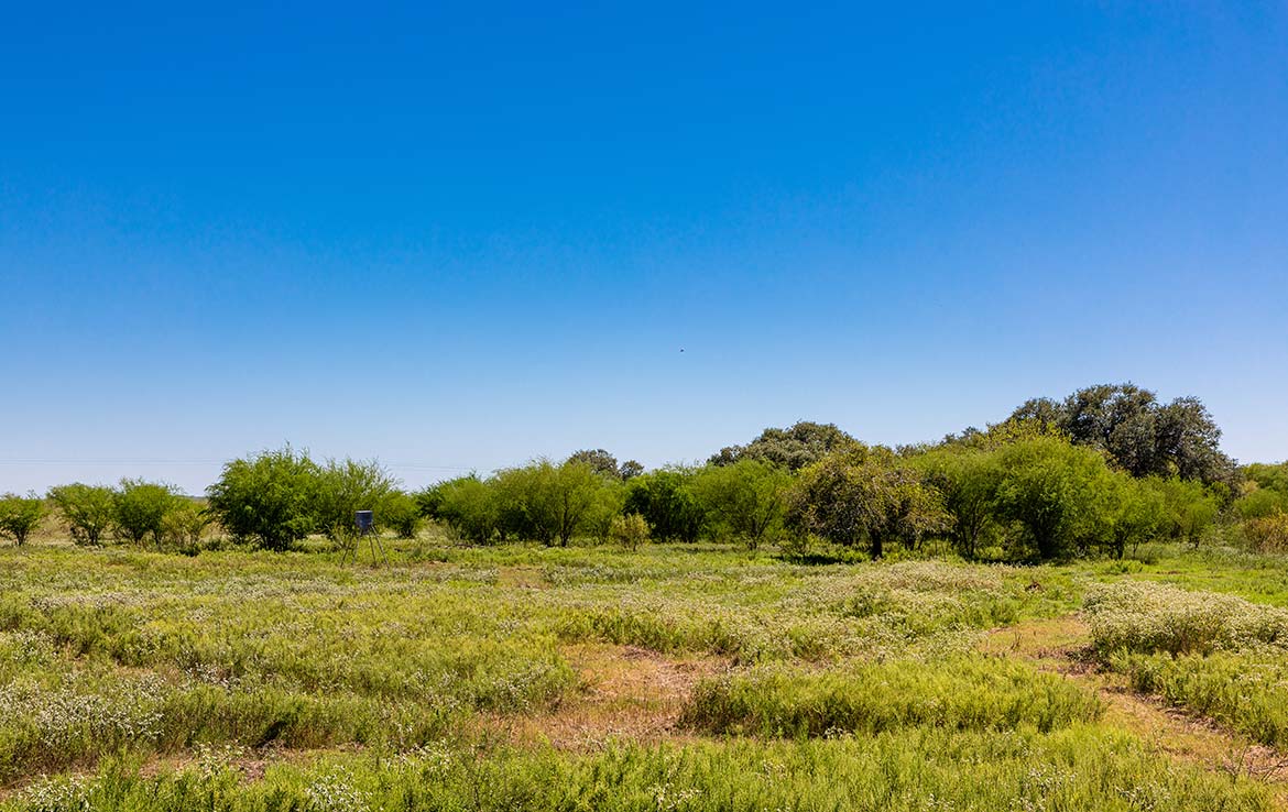 Three Oaks 383 Acre Ranch Wilson County Image 11