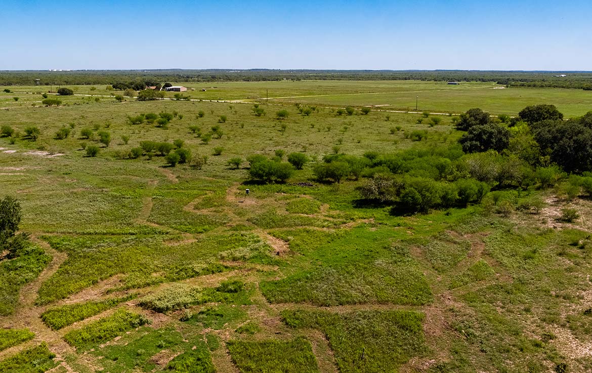 Three Oaks 383 Acre Ranch Wilson County Image 12
