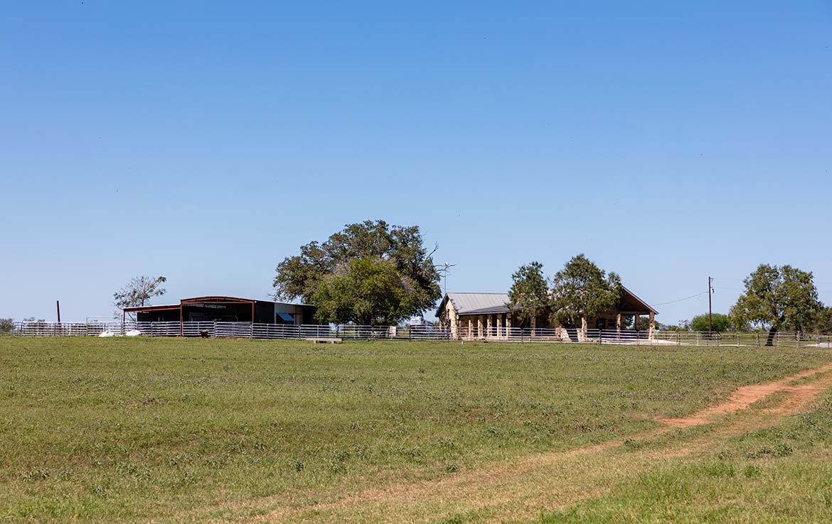 Three Oaks 383 Acre Ranch Wilson County Image 8