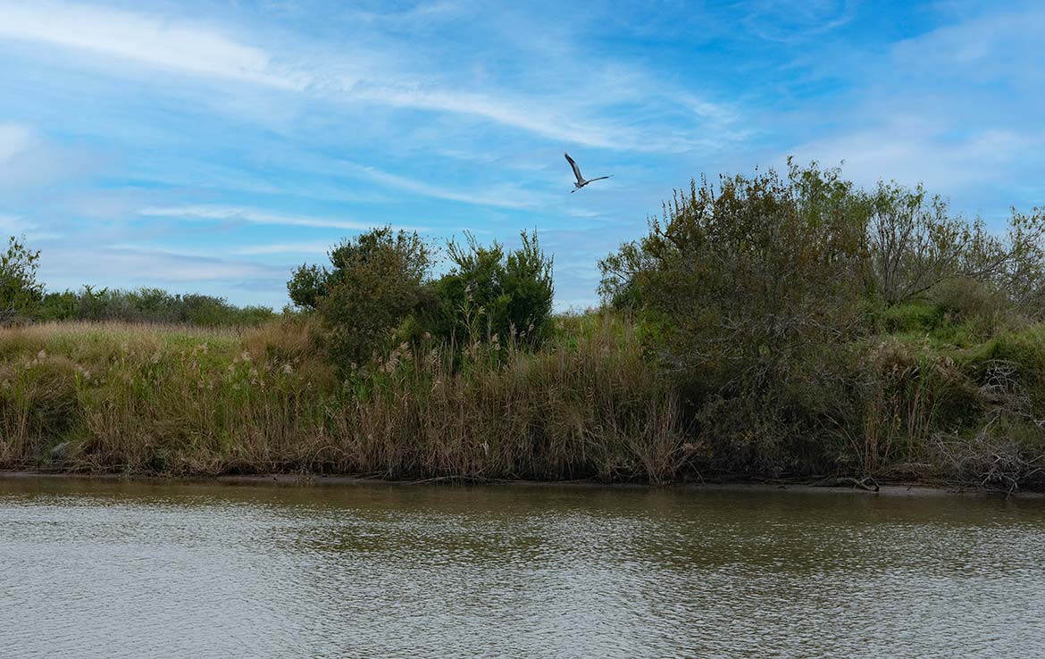 Aransas River Ranch 340 Acre Ranch Refugio County Image 4