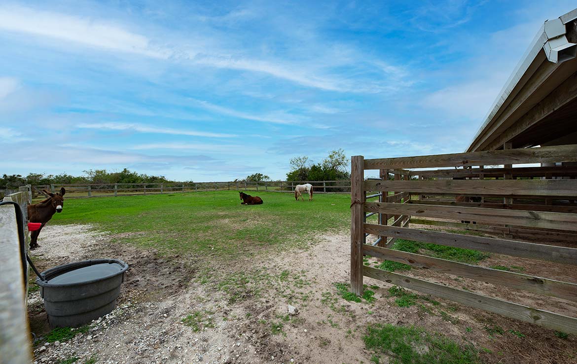 Aransas River Ranch 340 Acre Ranch Refugio County Image 8