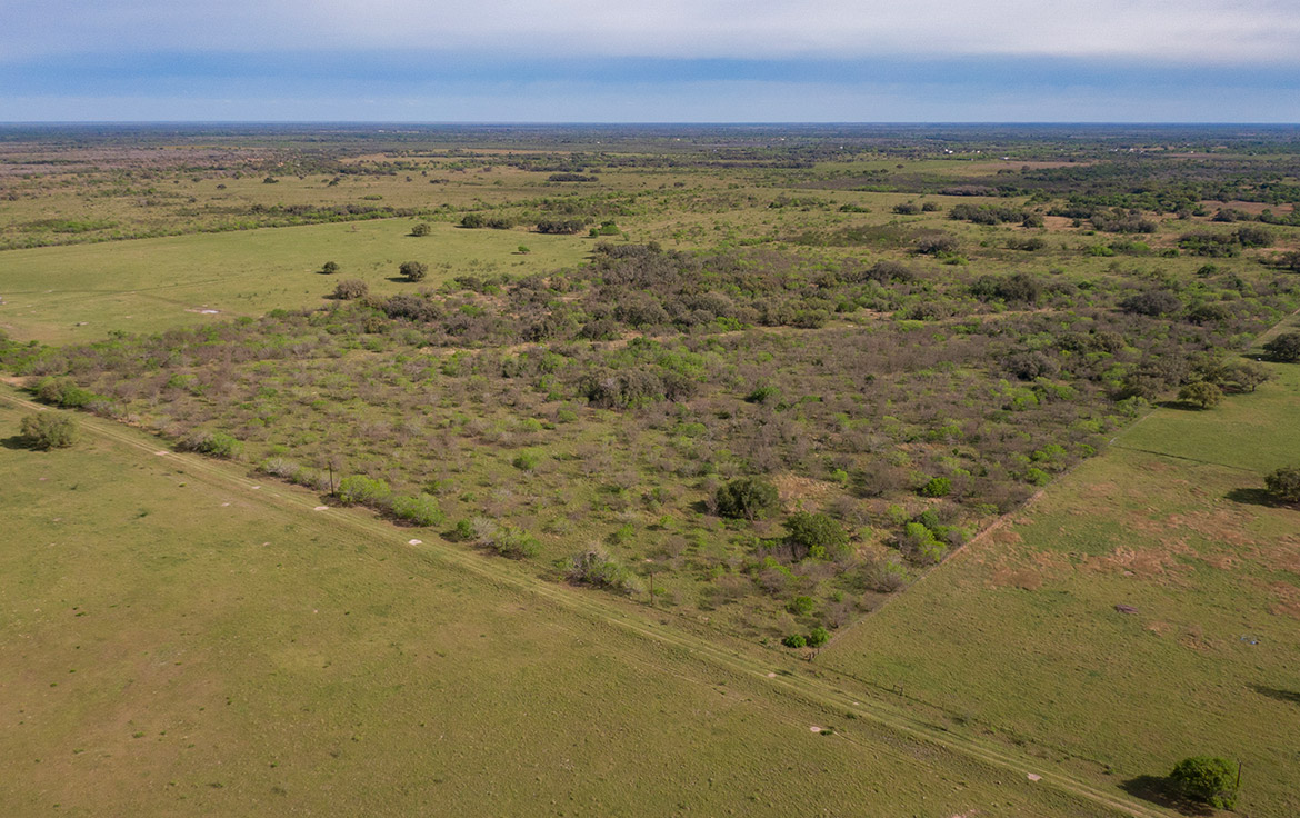 Bracket T Ranch 71 Acre Ranch Refugio County Image 10