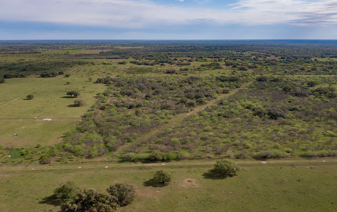 Bracket T Ranch 71 Acre Ranch Refugio County Image 11